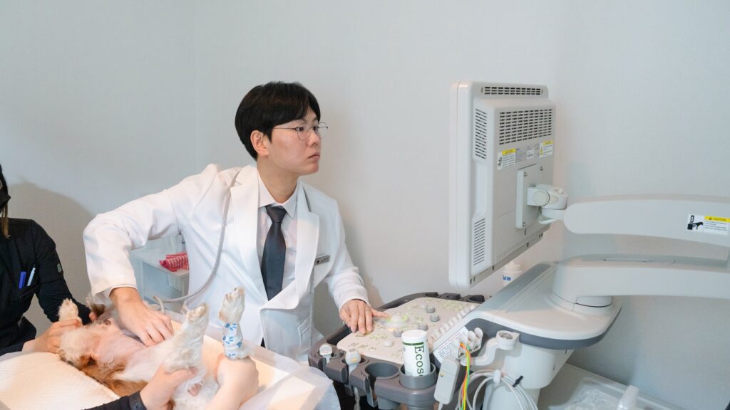 황영찬 대표원장 프로필 사진